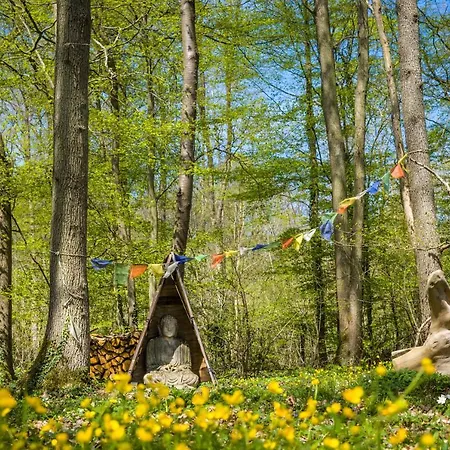 Gites Du Bois Des Perruches Saint-Vincent-des-Bois Exterior foto