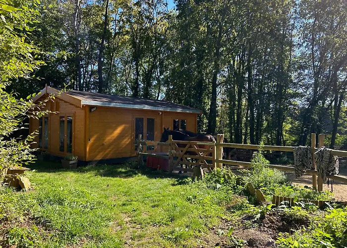 Gites Du Bois Des Perruches