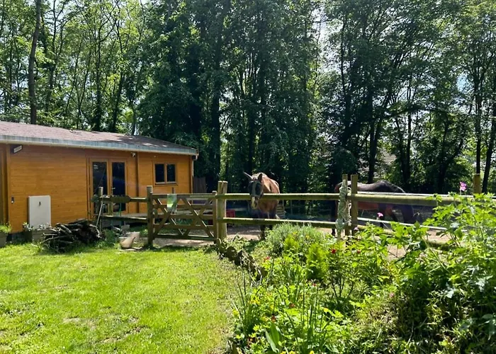 Gites Du Bois Des Perruches