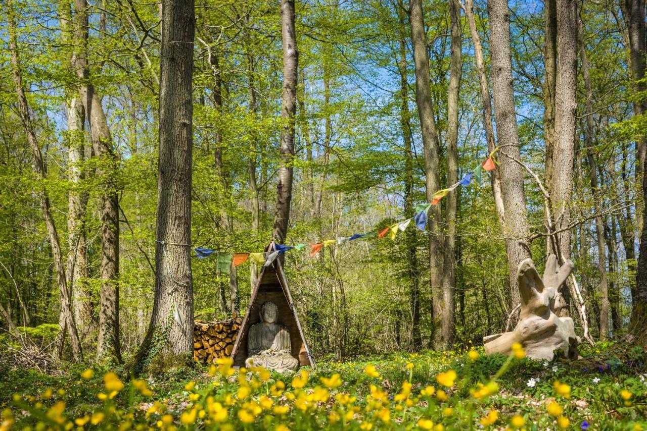 Du Bois Des Perruches Saint-Vincent-des-Bois