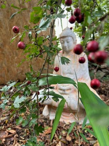 Zen En Normandie Saint-Vincent-des-Bois