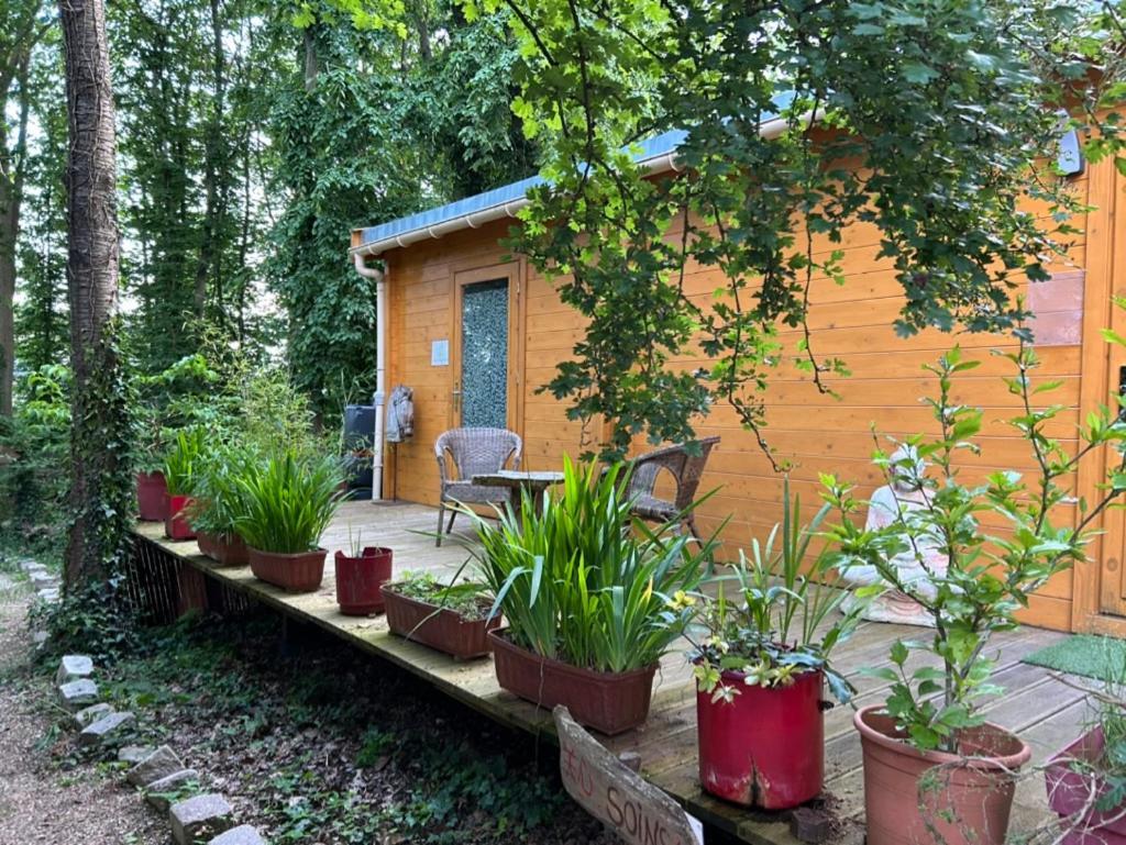 Du Bois Des Perruches Ferienhaus *