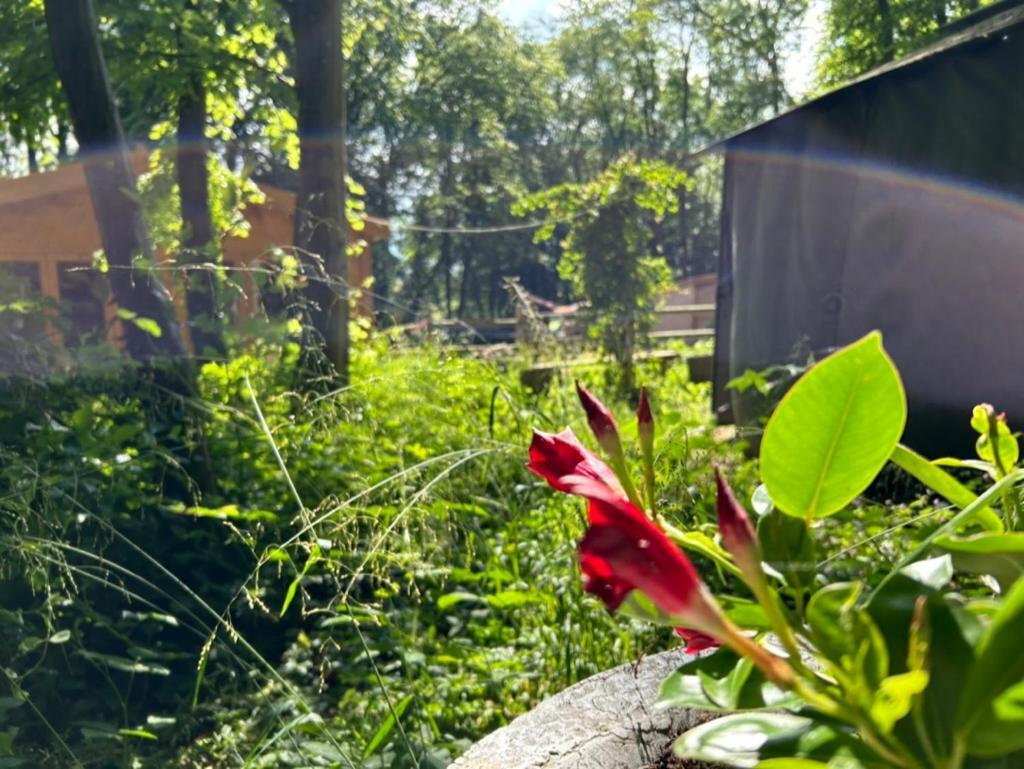 Hébergement de vacances Zen En Normandie *
