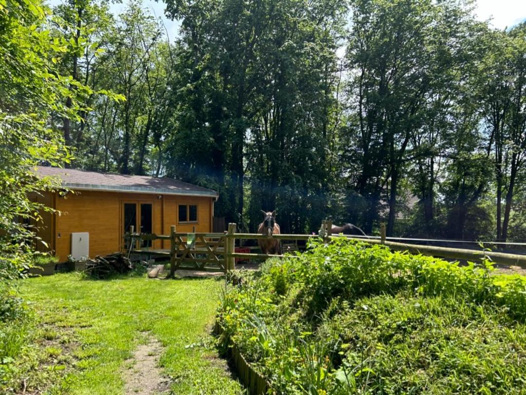 Du Bois Des Perruches * Saint-Vincent-des-Bois