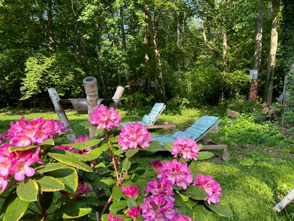 Du Bois Des Perruches Ferienhaus