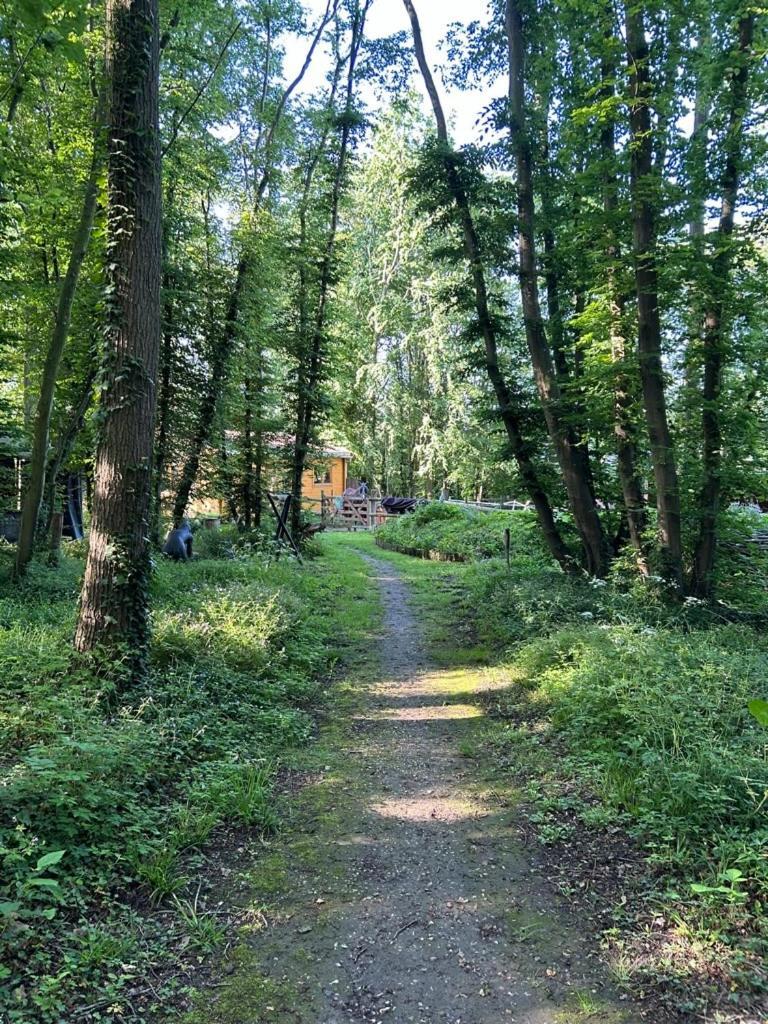 Du Bois Des Perruches Ferienhaus Saint-Vincent-des-Bois